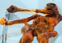 La historia de Ötzi: el ‘hombre de hielo’ de los 61 tatuajes asesinado hace 5,300 años