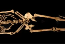 Descubren una crucifixión romana en terreno británico que sería la mejor conservada del mundo