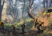 Alivio: habría lluvias hasta el martes en Quillén